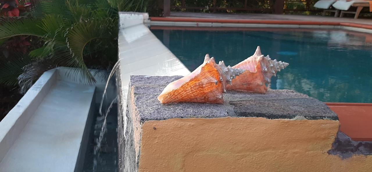 فيلا Kaye Mango سوفريير المظهر الخارجي الصورة